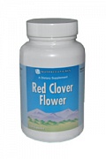 Цветки красного клевера / Red clover flowers